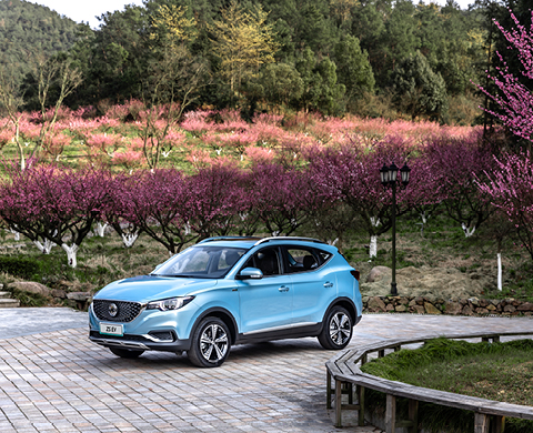 דרגת זיהום 1, דרגת בטיחות 7,6